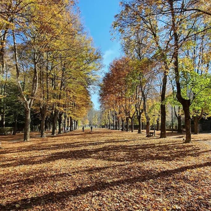 El Mussol De La Vila Camprodon, Balconets Amb Vistes A La Placa Zewnętrze zdjęcie